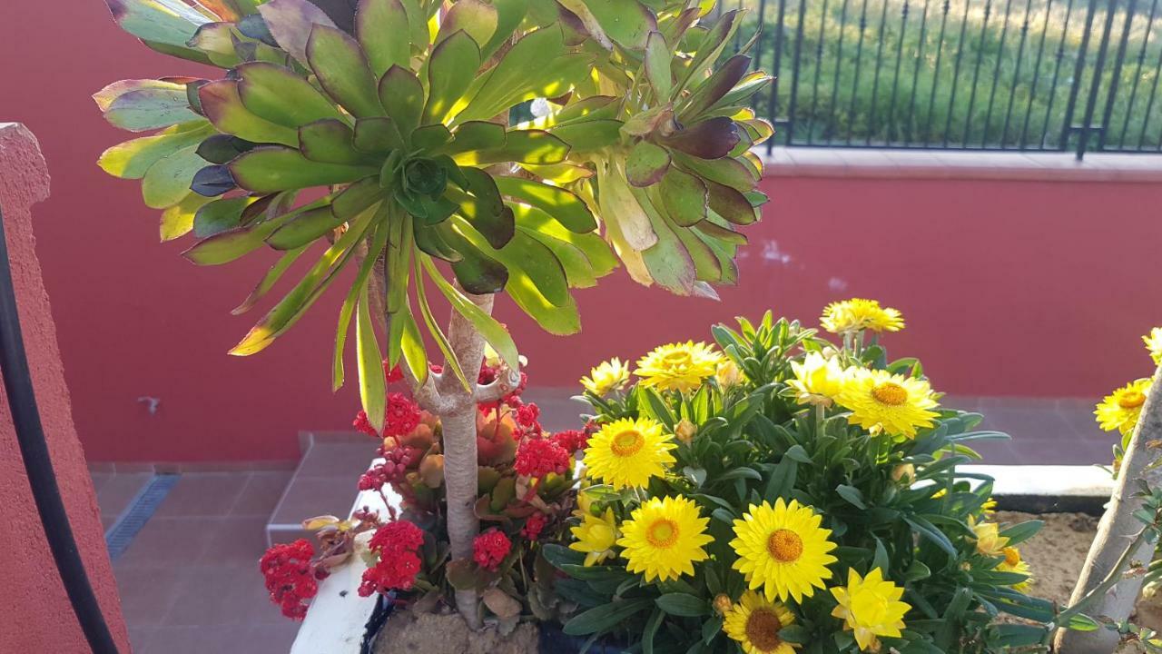 Lilium In B&B 杰拉 外观 照片